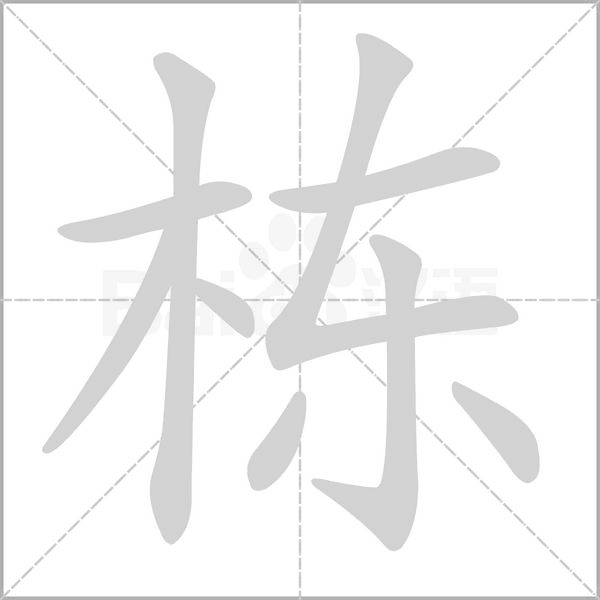 笔顺动画