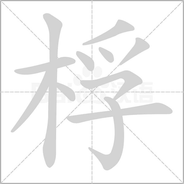 笔顺动画