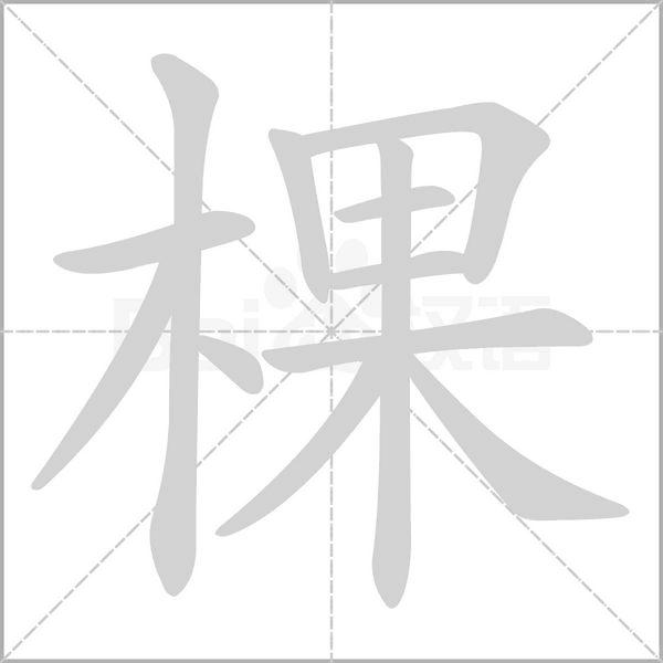 笔顺动画