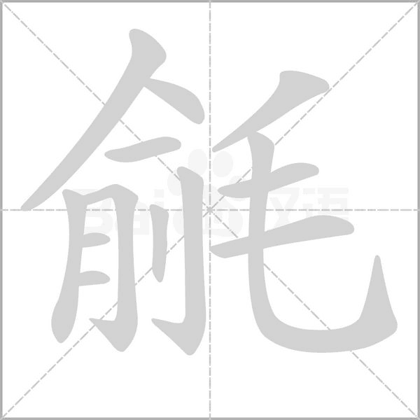 笔顺动画