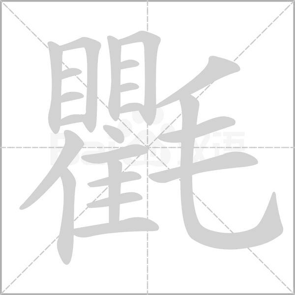 笔顺动画