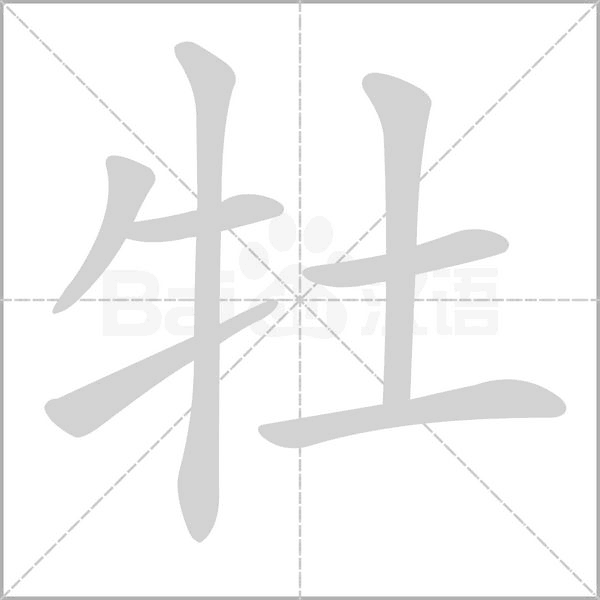 笔顺动画