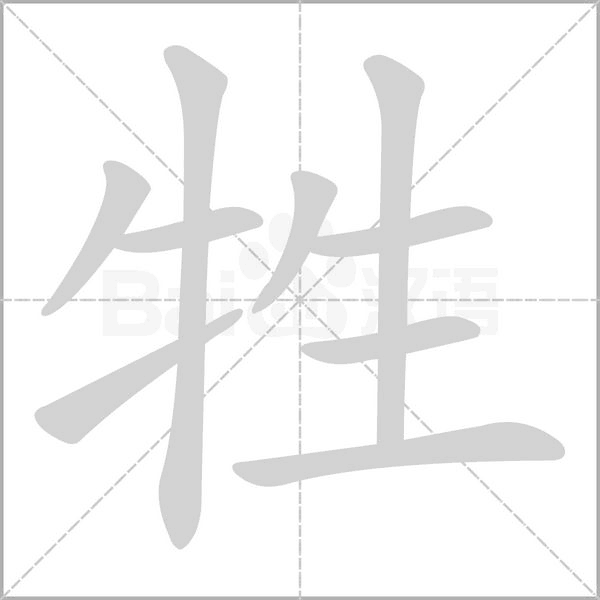 笔顺动画