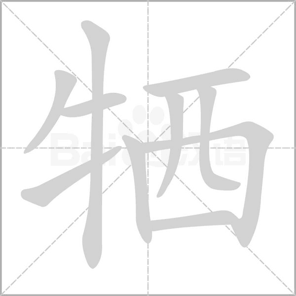 笔顺动画