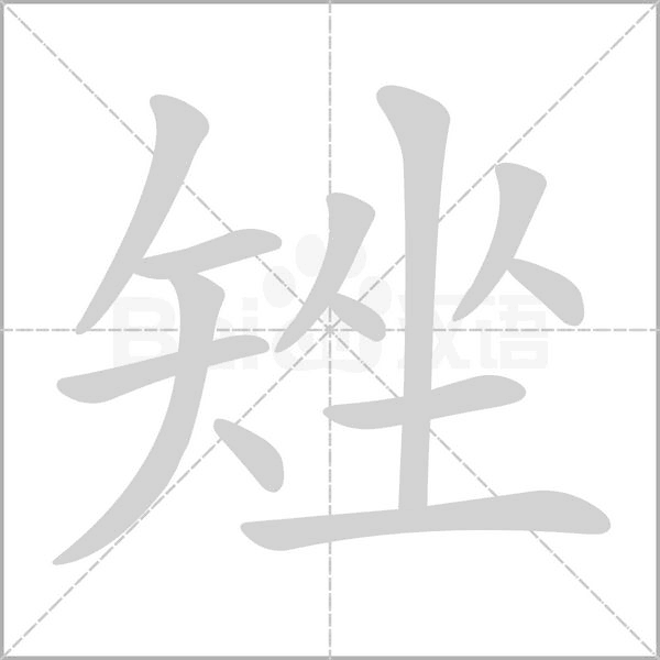 笔顺动画