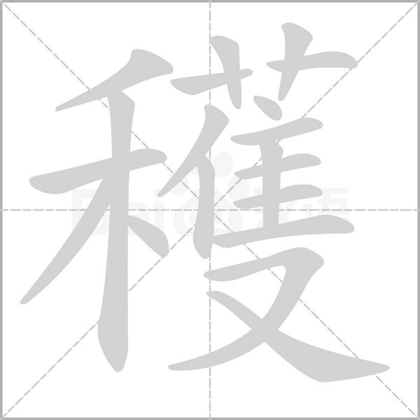 笔顺动画