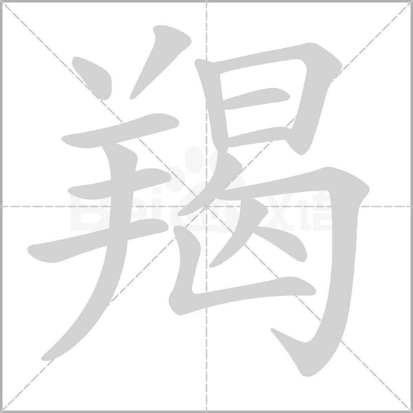 笔顺动画