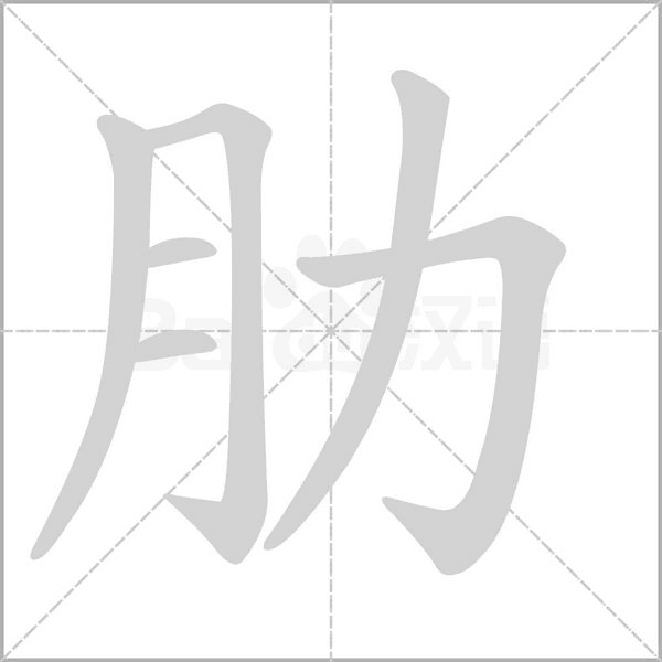 笔顺动画