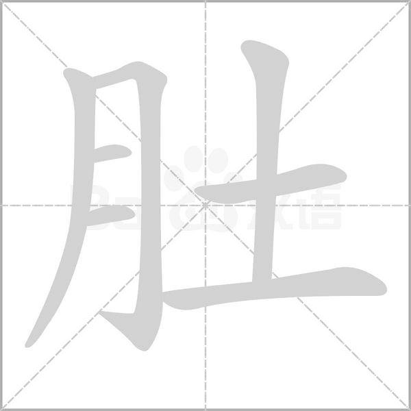 笔顺动画