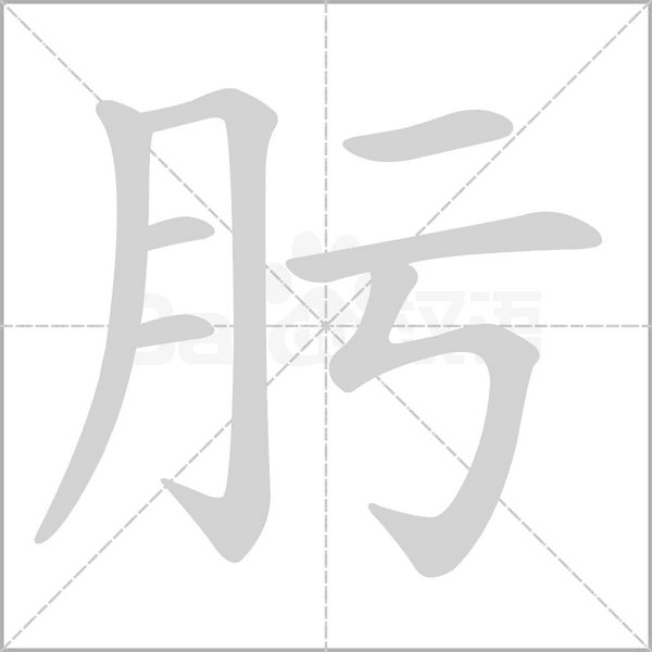 笔顺动画