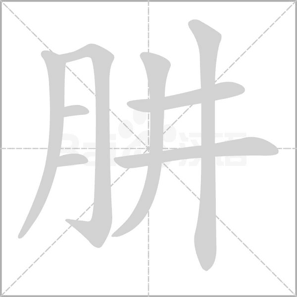 笔顺动画