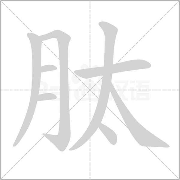 笔顺动画