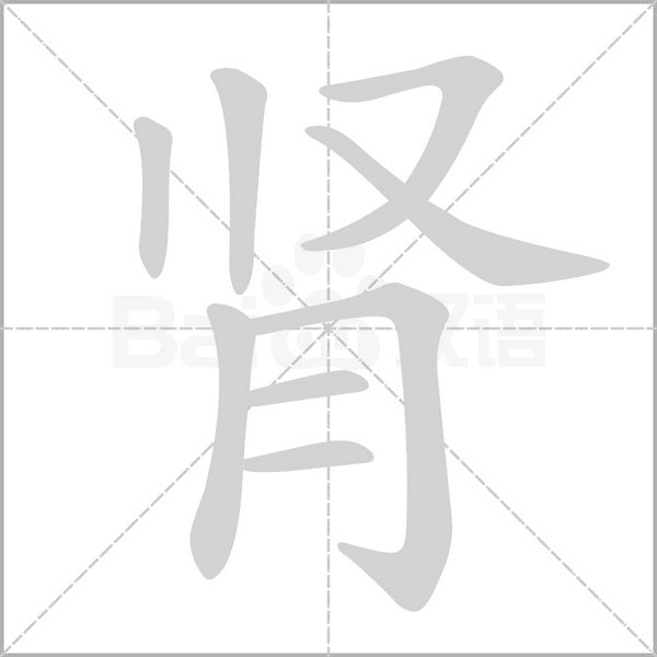 笔顺动画