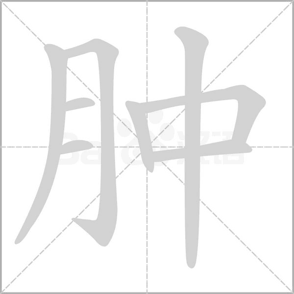 笔顺动画