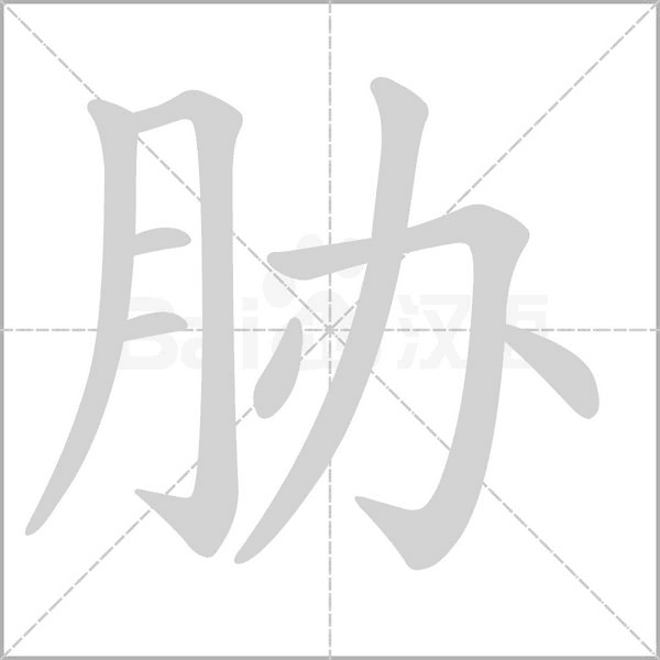 笔顺动画