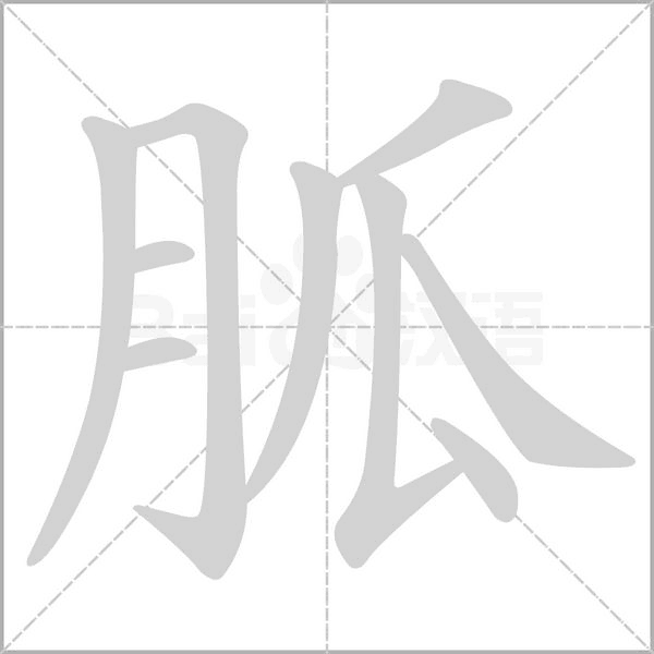 笔顺动画