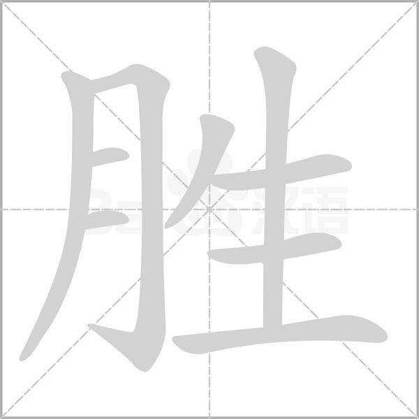 笔顺动画