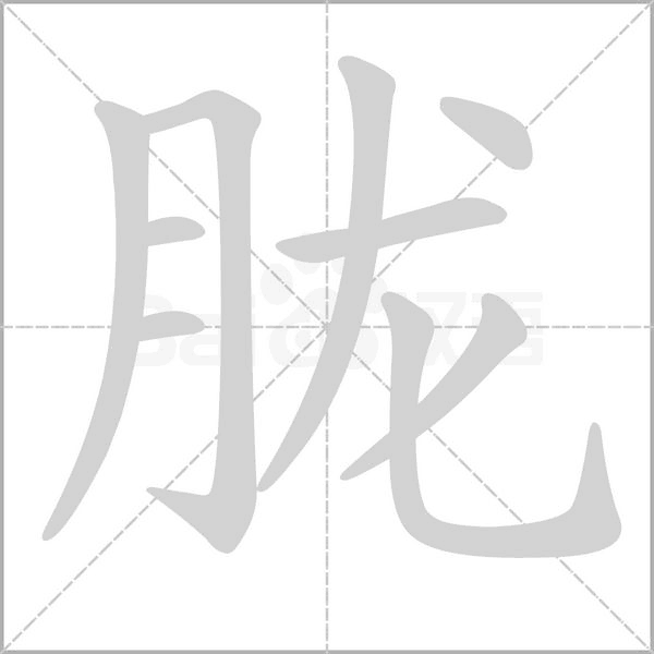 笔顺动画