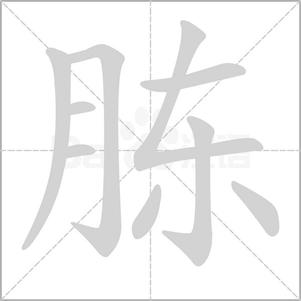 笔顺动画