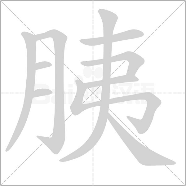 笔顺动画