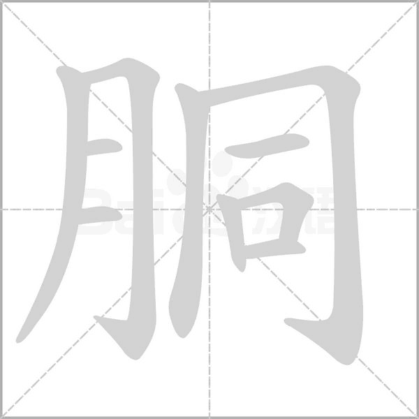 笔顺动画