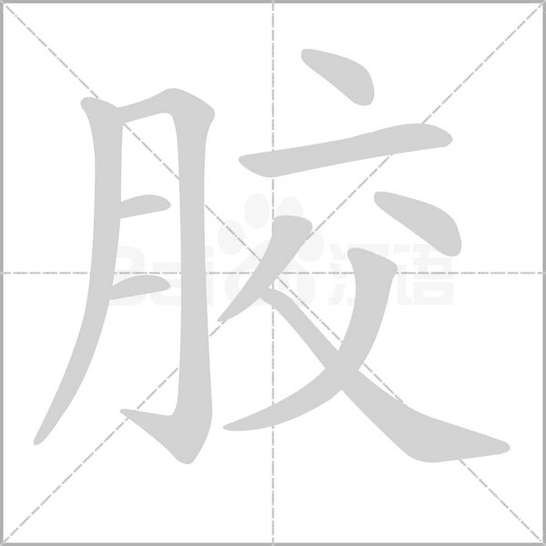 笔顺动画