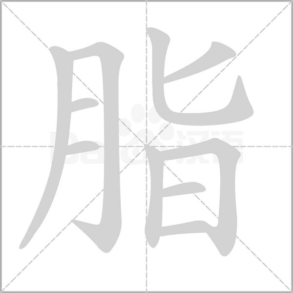 笔顺动画