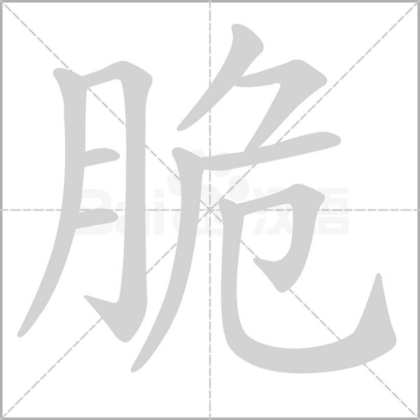 笔顺动画