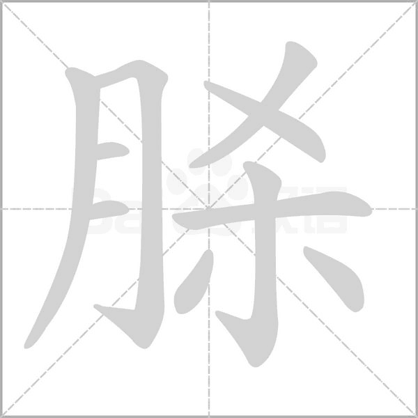 笔顺动画