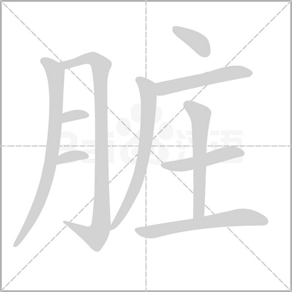 笔顺动画
