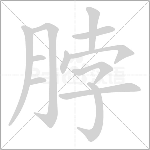 笔顺动画