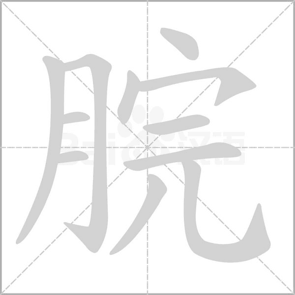 笔顺动画
