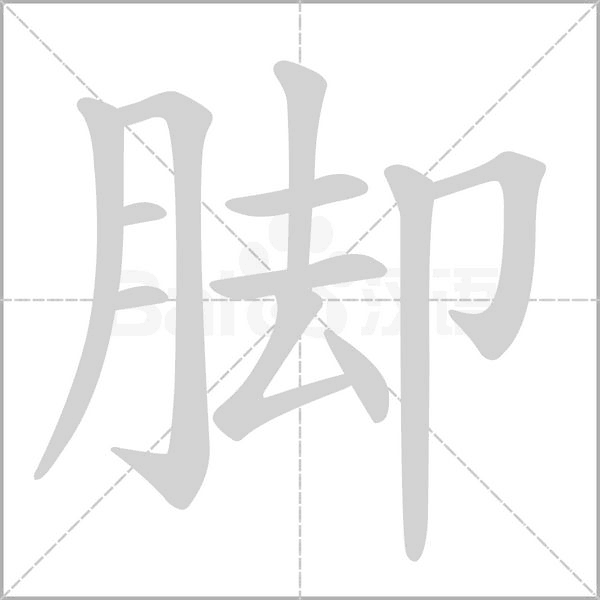 笔顺动画