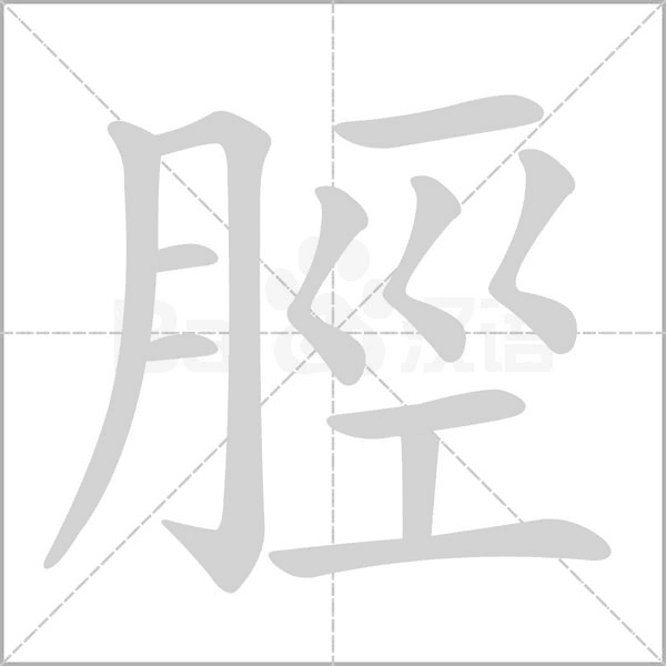 笔顺动画