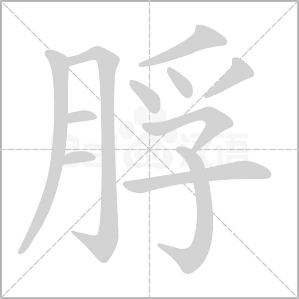 笔顺动画