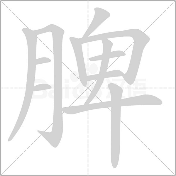 笔顺动画