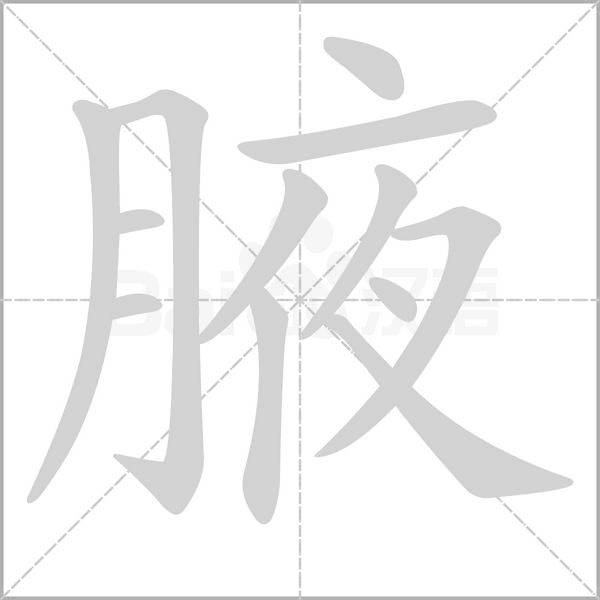 笔顺动画