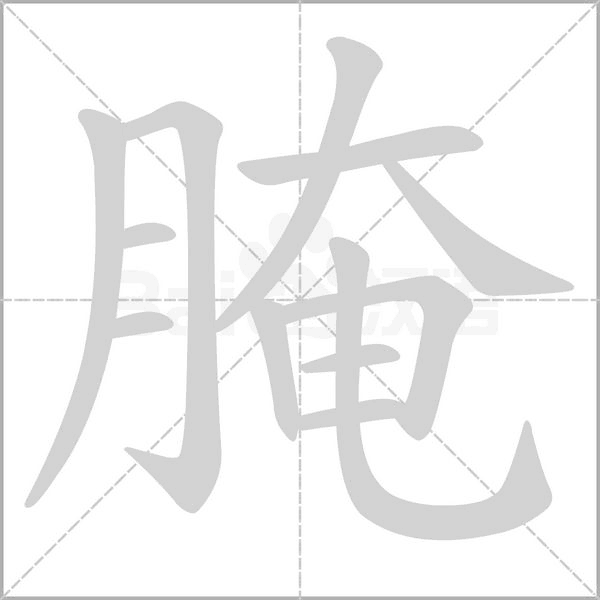 笔顺动画