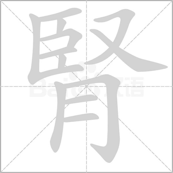 笔顺动画