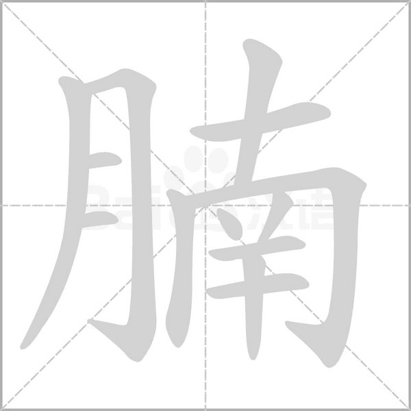 笔顺动画