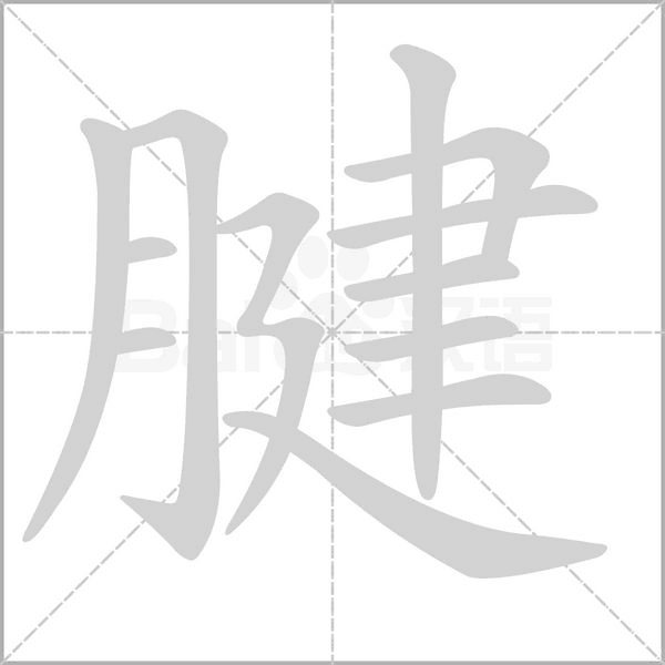 笔顺动画