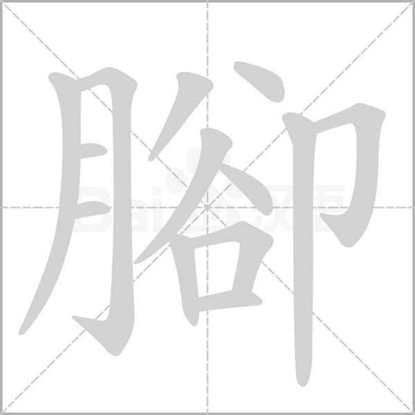 笔顺动画
