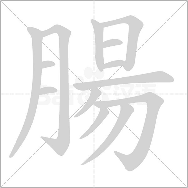 笔顺动画
