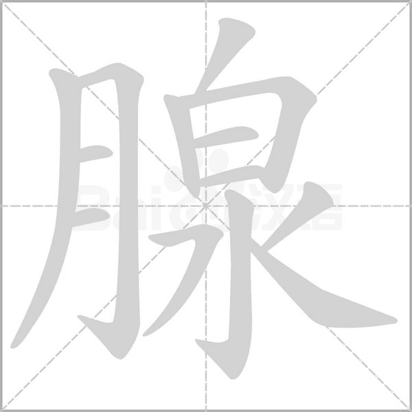 笔顺动画