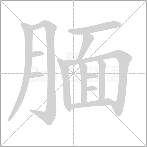 笔顺动画
