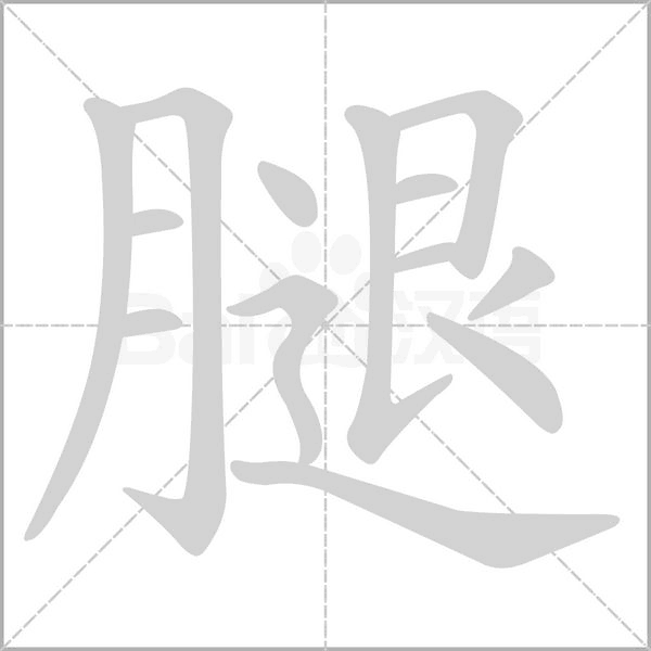 笔顺动画