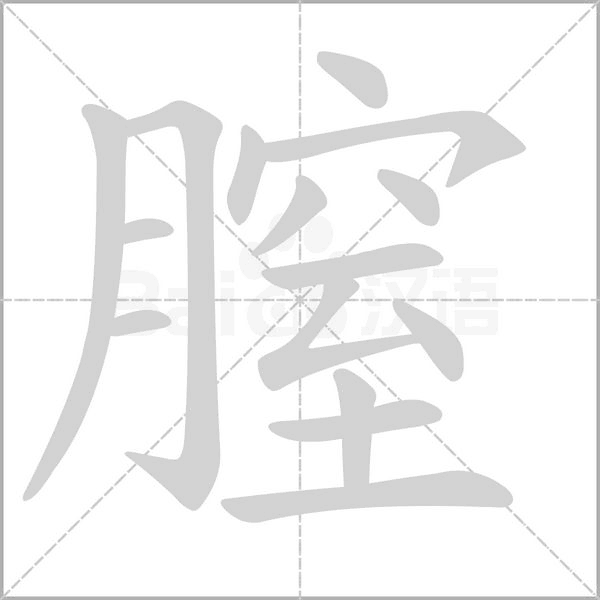 笔顺动画