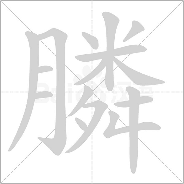 笔顺动画