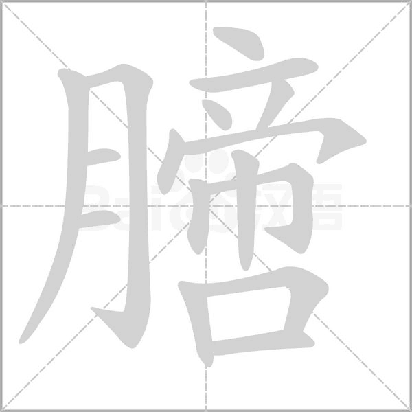 笔顺动画