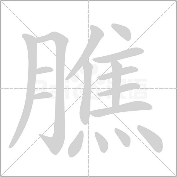 笔顺动画
